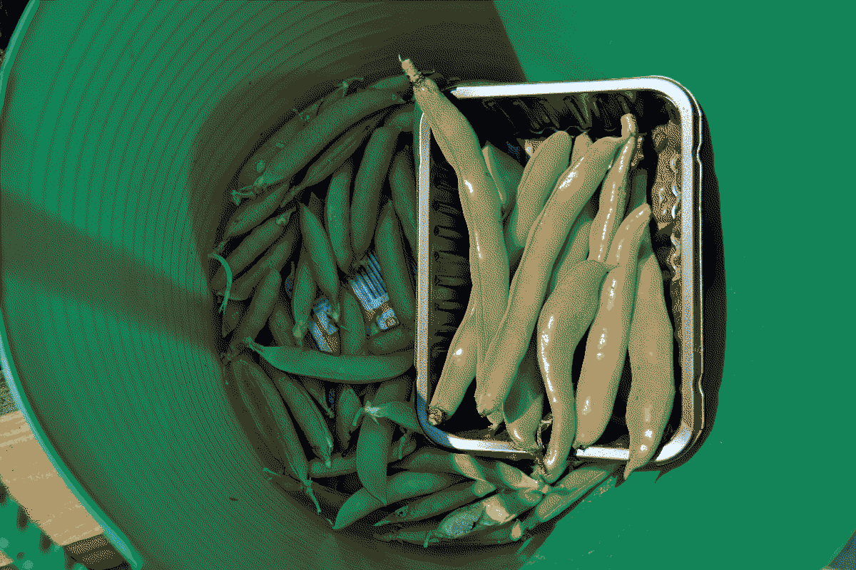 a green bucket with green beans in it